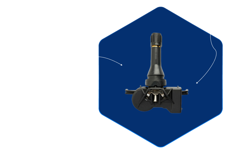 Transport  Monitoring Software