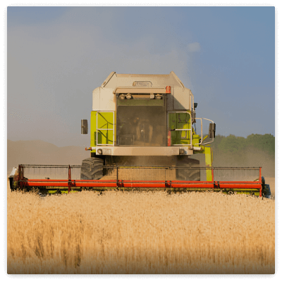 Grain Harvester