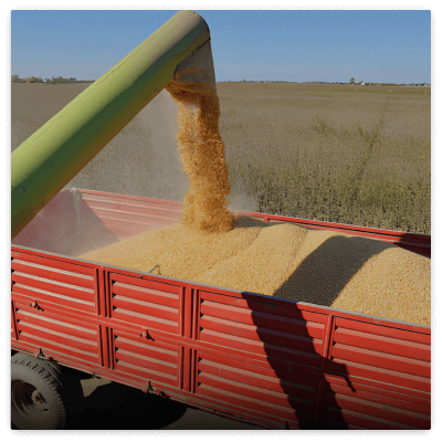 Grain Trailer